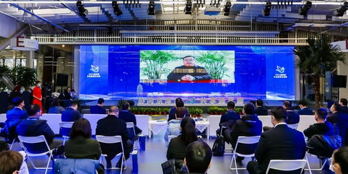 京津冀運(yùn)河文化旅游城市合作組織 以文化藝術(shù)交流為紐帶，共繪協(xié)同發(fā)展新畫卷